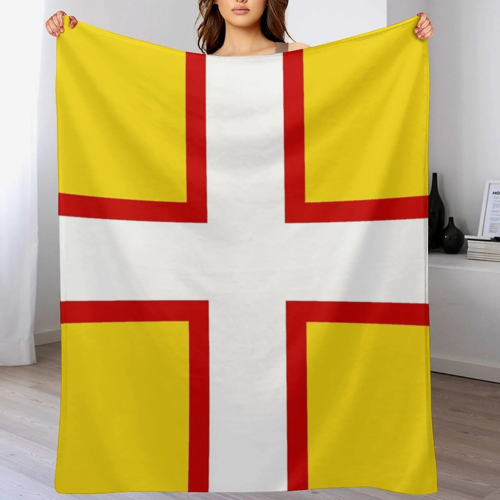 Couverture FLAG OF DORSET ENGL - Home Office England avis et prix