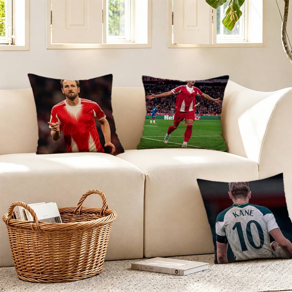 Taie d'oreiller England H-Harr - Home Office England avis et prix
