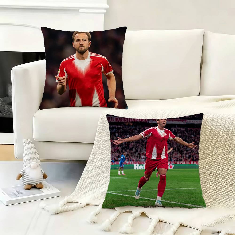Taie d'oreiller England H-Harr - Home Office England avis et prix