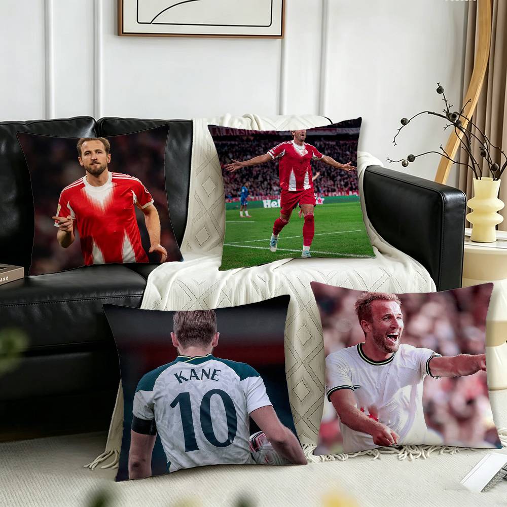 Taie d'oreiller England H-Harr - Home Office England avis et prix
